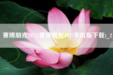 赛博朋克2077(赛博朋克2077手机版下载)_2