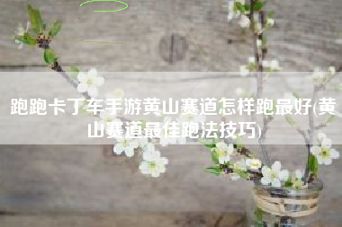 跑跑卡丁车手游黄山赛道怎样跑最好(黄山赛道最佳跑法技巧)