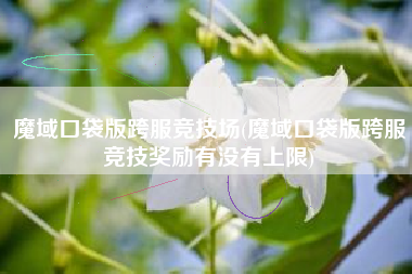 魔域口袋版跨服竞技场(魔域口袋版跨服竞技奖励有没有上限)