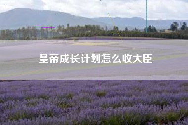 皇帝成长计划怎么收大臣