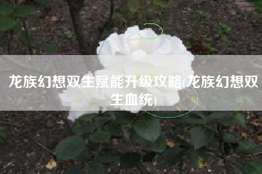 龙族幻想双生赋能升级攻略(龙族幻想双生血统)