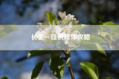 长生箓挂机修炼攻略