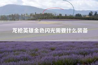 龙枪英雄金色闪光需要什么装备