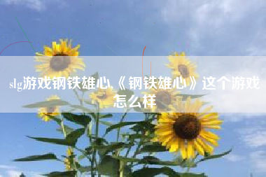 slg游戏钢铁雄心,《钢铁雄心》这个游戏怎么样
