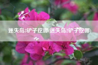 迷失岛3铲子挖哪(迷失岛2铲子挖哪)