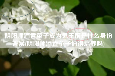 阴阳师酒吞童子成为鬼王前是什么身份答案(阴阳师酒吞童子值得培养吗)