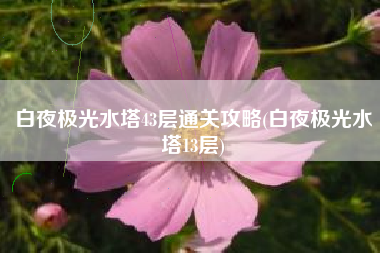 白夜极光水塔43层通关攻略(白夜极光水塔13层)