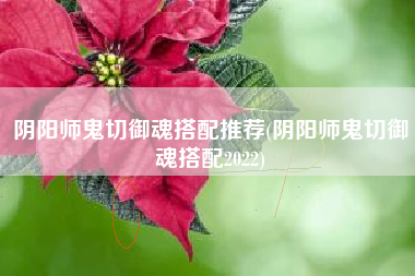 阴阳师鬼切御魂搭配推荐(阴阳师鬼切御魂搭配2022)