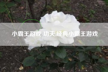 小霸王游戏 功夫,经典小霸王游戏