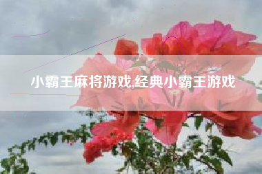 小霸王麻将游戏,经典小霸王游戏