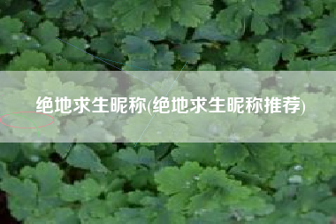 绝地求生昵称(绝地求生昵称推荐)