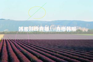 韩服游戏直播,Uzi直播韩服