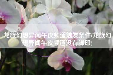 龙族幻想异闻午夜频道触发条件(龙族幻想异闻午夜频道没有脚印)