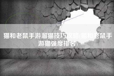 猫和老鼠手游溜猫技巧攻略(猫和老鼠手游猫强度排名)