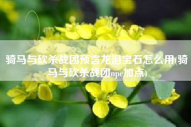 骑马与砍杀战团预言龙泪宝石怎么用(骑马与砍杀战团npc加点)