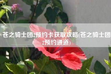 苍之骑士团2预约卡获取攻略(苍之骑士团2预约通道)