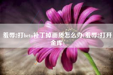 羞辱2打beta补丁掉画质怎么办(羞辱2打开金库)