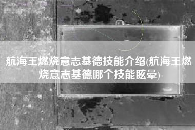 航海王燃烧意志基德技能介绍(航海王燃烧意志基德哪个技能眩晕)