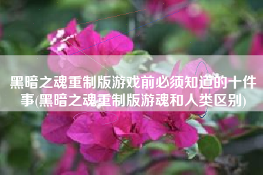 黑暗之魂重制版游戏前必须知道的十件事(黑暗之魂重制版游魂和人类区别)