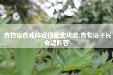 食物语食魂阵容搭配全攻略(食物语平民食魂阵容)