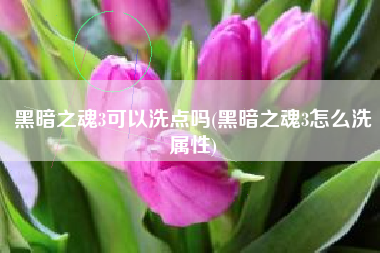 黑暗之魂3可以洗点吗(黑暗之魂3怎么洗属性)