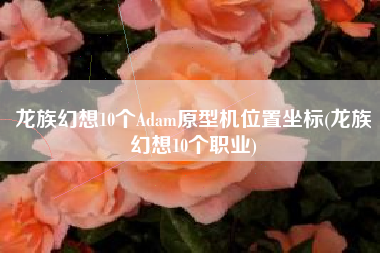 龙族幻想10个Adam原型机位置坐标(龙族幻想10个职业)