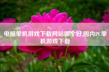 电脑单机游戏下载网站哪个好,国内PC单机游戏下载