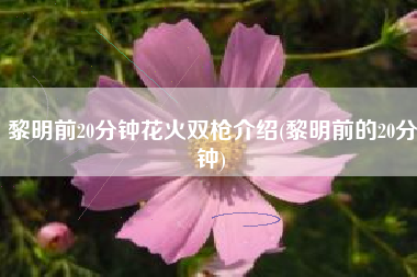 黎明前20分钟花火双枪介绍(黎明前的20分钟)