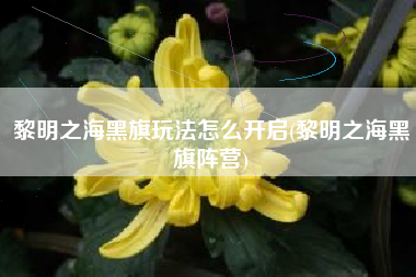 黎明之海黑旗玩法怎么开启(黎明之海黑旗阵营)