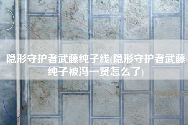 隐形守护者武藤纯子线(隐形守护者武藤纯子被冯一贤怎么了)
