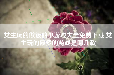 女生玩的做饭的小游戏大全免费下载,女生玩的最多的游戏是哪几款