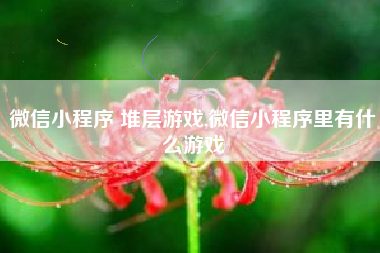 微信小程序 堆层游戏,微信小程序里有什么游戏