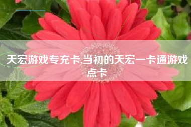 天宏游戏专充卡,当初的天宏一卡通游戏点卡