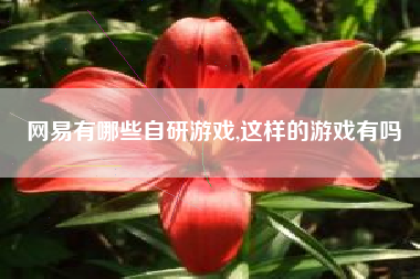 网易有哪些自研游戏,这样的游戏有吗