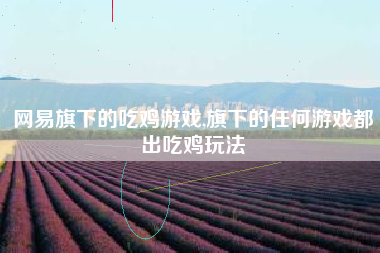 网易旗下的吃鸡游戏,旗下的任何游戏都出吃鸡玩法
