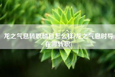 龙之气息转职麟目怎么样(龙之气息时导在哪转职)