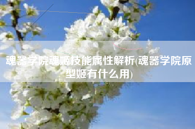 魂器学院魂姬技能属性解析(魂器学院原型姬有什么用)