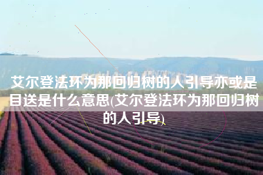 艾尔登法环为那回归树的人引导亦或是目送是什么意思(艾尔登法环为那回归树的人引导)