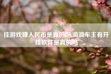 挂游戏赚人民币是真的吗,滴滴车主有开挂软件是真的吗