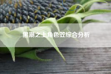 黑潮之上角色笠综合分析