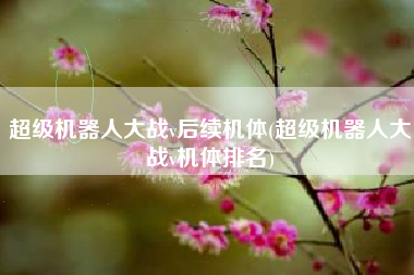 超级机器人大战v后续机体(超级机器人大战v机体排名)