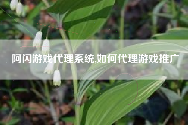 阿闪游戏代理系统,如何代理游戏推广