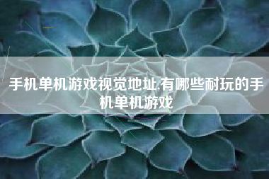 手机单机游戏视觉地址,有哪些耐玩的手机单机游戏