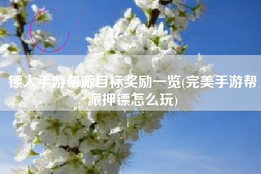 镖人手游帮派目标奖励一览(完美手游帮派押镖怎么玩)