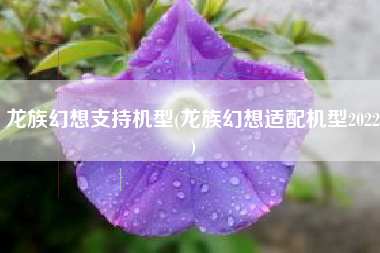 龙族幻想支持机型(龙族幻想适配机型2022)