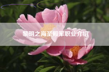 黎明之海圣殿军职业介绍