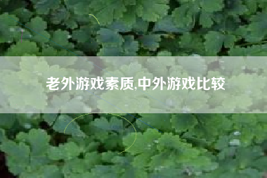 老外游戏素质,中外游戏比较