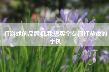打游戏的品牌机,我想买个专门打游戏的手机
