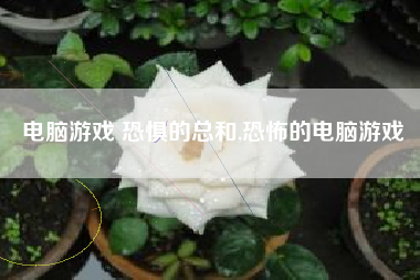 电脑游戏 恐惧的总和,恐怖的电脑游戏