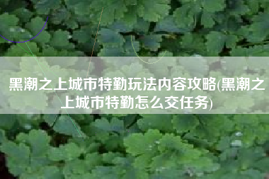 黑潮之上城市特勤玩法内容攻略(黑潮之上城市特勤怎么交任务)